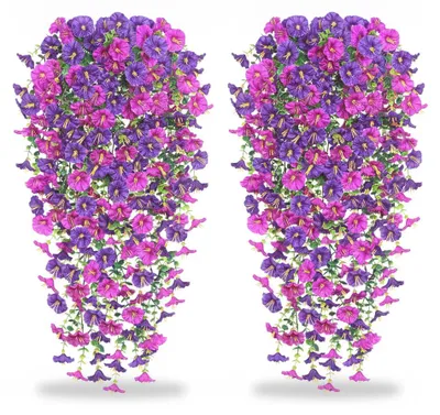 Image de InAndOutdoorMatch - Plantes grimpantes décoratives - Pétunia - Résistant aux UV, Image générée par une IA