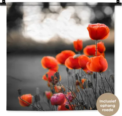 Produktbild von MuchoWow® Wandteppich Wandbehang Wilde rote Mohnblumen auf einem großen Feld mit schwarzem und weißem Hintergrund 60x60 cm Tapisserie Dekoration Wandtuch - Dekorationen - Wand Decke