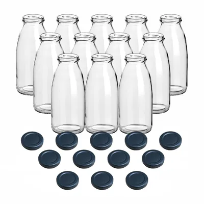 Produktbild von gouveo 12er Set Saftflasche 250 ml mit Schraubdeckel schwarz-matt BS-  Leere Glasflasche 0,25 l mit TO43 Verschluss zum Befüllen