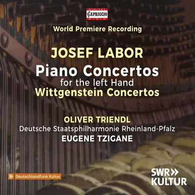 Produktbild von Triendl/Tzigane/Deutsche Staatsphilharmonie RP: Klavierkonze