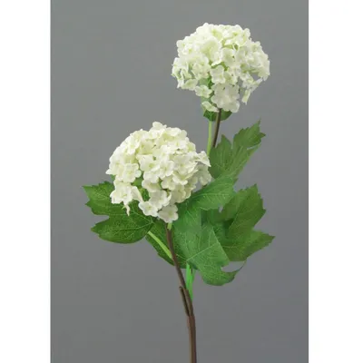 Produktbild von Künstlicher Schneeballzweig weiß H. 49cm mit 2 Blüten GASPER WA