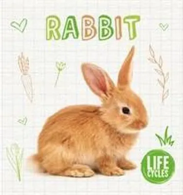 Produktbild von Rabbit