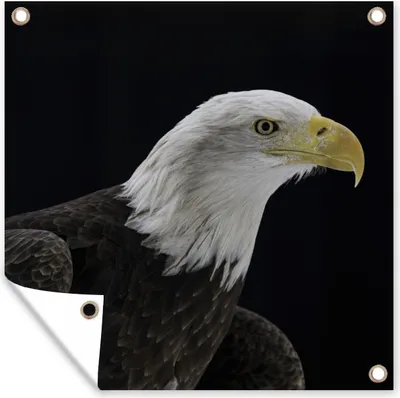 Produktbild von MuchoWow® 50x50 cm Outdoor-Poster Gartendeko Sichtschutz Garten Poster für den Garten  Adler - Vogel - Schnabel - Schwarz