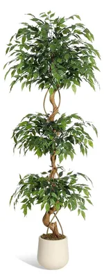 Produktbild von Künstlicher Ficusbaum - Topfpflanze - 183 cm hoch - Weißer Topf - Seidenblätter - Indoor/Outdoor - Standpflanze - Grün