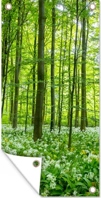 Produktbild von MuchoWow® 80x160 cm Outdoor-Poster Gartendeko Sichtschutz Garten Poster für den Garten  Wald - Bäume - Grün