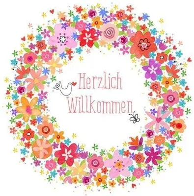Produktbild von Braun + Company Herzlich Willkommen, Mehrfarbig, Seidenpapier, Abbildung, 330 mm, 330 mm, 20 Stück(e)