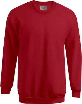 Produktbild von Premium Sweatshirt Herren, Rot, S