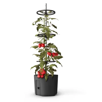 Produktbild von Tomatenpflanztopf mit Rankhilfe Anthrazit Tomatentopf Pflanzkübel Pflanztopf Blumentopf Blumenkübel Kletterhilfe Anzuchttopf