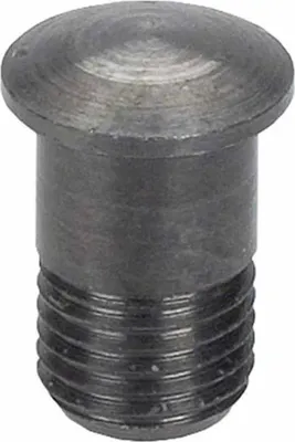 Image de Campagnolo Magnetischer Nippeleinsatz Eurus
