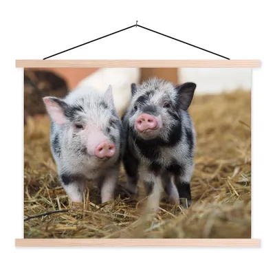 Produktbild von MuchoWow® Textilposter Schwein - Tiere - Ferkel 120x90 cm mit holzfarbenen Rahmen - Magnetisch
