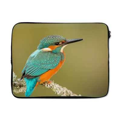 Produktbild von MuchoWow® Laptop Hülle 17 Zoll Laptoptasche Eisvogel - Tiere - Vogel - Zipper - Schutzabdeckung