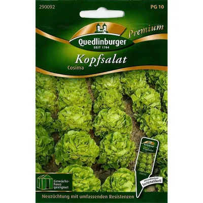 Zdjęcie produktu dla Sałata rzymska Cosima z Quedlinburga – nasiona warzyw premium