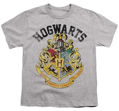 Immagine prodotto di Magia di Harry Potter - T-shirt "Stemma di Hogwarts" per bambini, cotone filato a anello, modello TV35799 (128) (colore: Grigio sportivo)