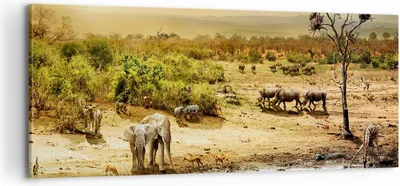 Produktbild von Bild auf Leinwand - Leinwandbild - Safari Tiere - 100x40cm - Wand Bild - Wanddeko - Wandbilder - Leinwanddruck - Bilder - Kunstdruck - Wanddekoration - Leinwand bilder - Wandkunst - AB100x40-3880