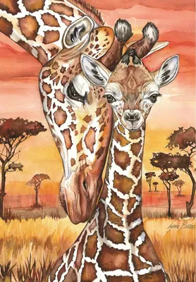 Image de ANATOLIAN Puzzle de girafes 500 pièces
