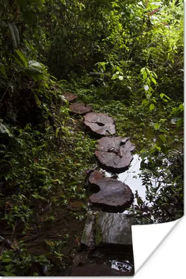 Produktbild von MuchoWow® Poster Fernstraße über einen Bach im Manu-Nationalpark, Peru 80x120 cm - Papierdruck