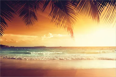 Produktbild von Wallario selbstklebendes Poster - Sonnenuntergang am Strand in der Karibik, Größe: 61 x 91,50 cm