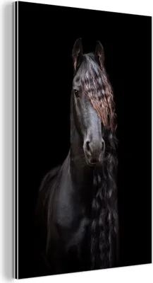 Obrázok produktu pre Nástenná dekorácia Kovový kovový obraz Wall Art 60x90cm Kone - Frízsky - Hriva - Čierna - Zvieratá Muchowow Hliníkové obrazy