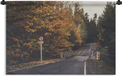 Produktbild von MuchoWow® Wandteppich Wandbehang Bäume - Straße - Herbst 90x60 cm Tapisserie Dekoration Wandtuch - Wandskulpturen - Bildteppich