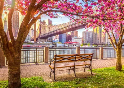 Image de Roovi Puzzle New York USA - 500 pièces puzzle fun