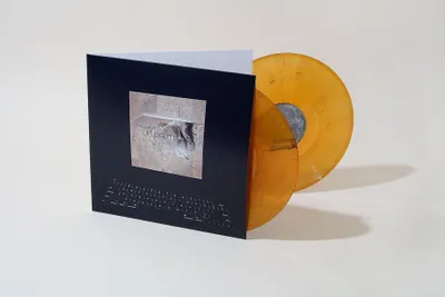 Produktbild von Lambchop - The Bible (Limited Edition) (2 LP)