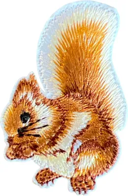 Produktbild von Eichhörnchen-Emblem zum Aufbügeln