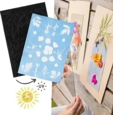 Image de Papier photographique solaire, lot de 12 (format DIN A5).