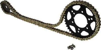 Produktbild von Kettensatz für Honda CBR1000 RR Fireblade (SC57) 2006-2007 X-Ring verstärkt goldfarben "16 zu 40"