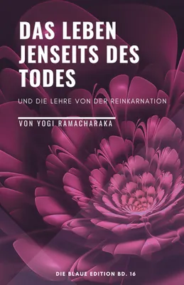 Produktbild von Das Leben jenseits des Todes