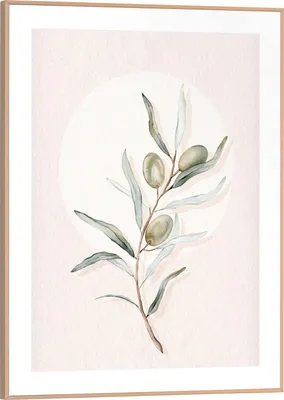 Produktbild von Wandbild - Braun - Grün - Weiß - 30 x 40 cm - Circle Olives