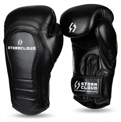Produktbild von StormCloud Havoc 2.0 Boxhandschuhe Schwarz/Weiß 14 oz