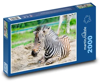 Obrázek produktu pro martinpuzzle - Puzzle 2000 - Zebra