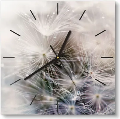 Produktbild von DEQORI Glasuhr 30x30 cm Modern 'Detailaufnahme Pusteblume' Wanduhr Glas Uhr Design leise