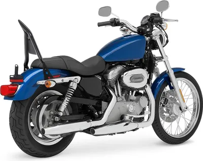 Zdjęcie produktu dla Sissybar dla Harley Davidson Sportster 04-20 # VJ2