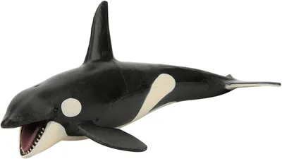 Productafbeelding van Orka Model - Plastic Speelgoed - Educatief Spelen - Realistische Vorm - 19 cm - Zwart