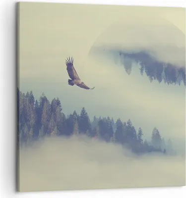 Produktbild von Bild auf Leinwand - Leinwandbild - Vogel Natur Wald - 50x50cm - Wand Bild - Wanddeko - Wandbilder - Leinwanddruck - Bilder - Kunstdruck - Wanddekoration - Leinwand bilder - Wandkunst - AC50x50-3853