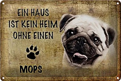 Produktbild von Blechschild Mops 30x20cm Haus ist kein Heim