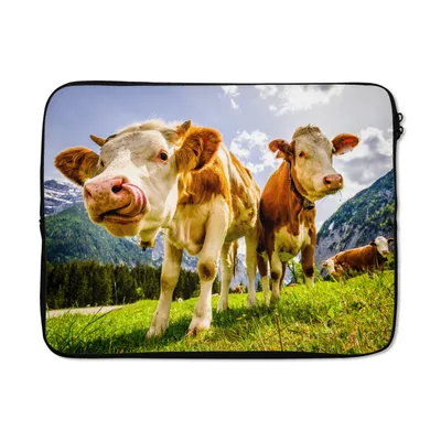 Produktbild von MuchoWow® Laptop Hülle 17 Zoll Laptoptasche Kühe - Berge - Gras - Landschaft - Alpen - Zipper - Schutzabdeckung