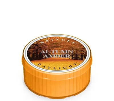 Obrázek produktu pro Kringle Candle Duftkerze Daylight Maxi-Teelicht Autumn Amber