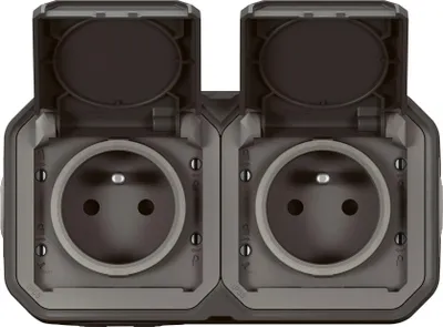 Image de Prise Plexo Anthracite Double Double Prise étanche Horizontale - Legrand