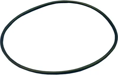 Produktbild von O-Ring für Behälterdeckel Behncke Dresden³ Bühne³ Berlin³