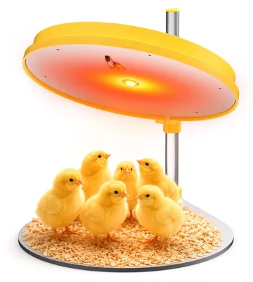 Küken-Warmteplatte 45 W, höhenverstellbar, künstliche Glucke
