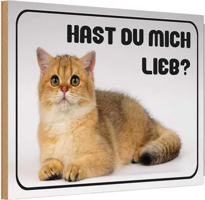 Produktbild von vianmo Holzschild 12x18 cm Katze hast du mich lieb? Tier Haustier