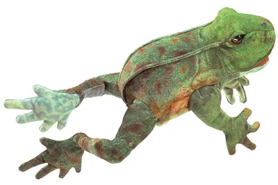 Produktbild von Folkmanis Handpuppe Hüpfender Frosch 3082