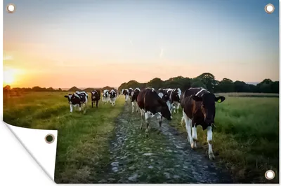 Produktbild von MuchoWow®