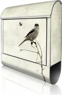 Produktbild von banjado Design Briefkasten Stahl silber mit Zeitungsfach pulverbeschichtet "Tristessa" 38x46x12,5cm & 2 Schlüssel - Postkasten A4 Einwurf inkl. Montagematerial [BK 11476]