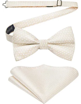 Produktbild von Herren Fliege mit Einstecktuch Set Champagner Vorgebunden Polyester Geschenkbox