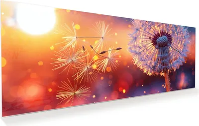 Produktbild von Glasbild 125x50cm in XXL für Wohnzimmer, Schlafzimmer Motiv Pusteblume Sonnenuntergang