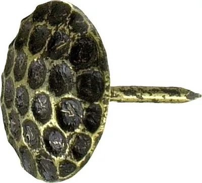 Produktbild von Connex Ziernägel Ø 13,0 x 12,5 mm