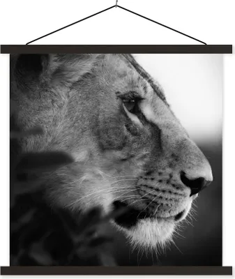 Produktbild von MuchoWow® Textilposter Löwe - Wilde Tiere - Dschungel - Schwarz - Weiß 90x90 cm mit schwarzem Rahmen - Magnetisches